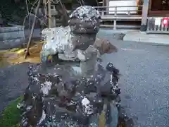 貫井神社の狛犬