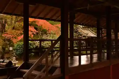 十輪寺(京都府)