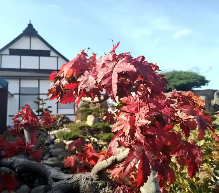 雨竜 専福寺(北海道)