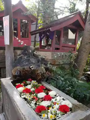 本郷氷川神社の手水舎