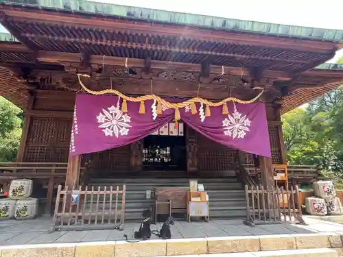 篠山神社の本殿