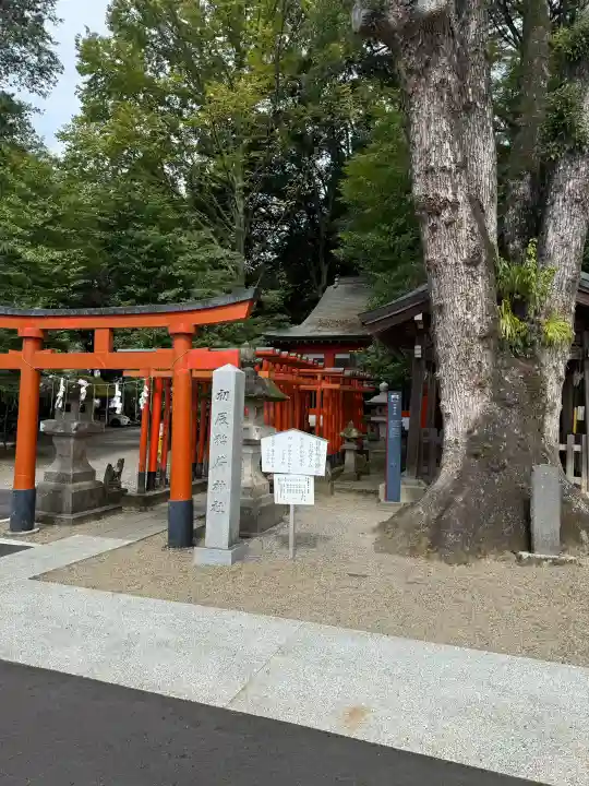 宇都宮二荒山神社の{uncategorized: "未分類", other: "その他", undefined: "問題あり", building: "その他建物", grave: "お墓", sacred_gate: "鳥居", guardian: "狛犬", statue: "像", buddha: "仏像", history: "歴史", nature: "自然", garden: "庭園", animal: "動物", pagoda: "塔", temizu: "手水舎", mountain_gate: "山門・神門", sanctuary: "本殿・本堂", subordinate: "末社・摂社", art: "芸術", scenery: "景色", jizo: "地蔵", ema: "絵馬", goshuin: "御朱印", omikuji: "おみくじ", items: "授与品その他", amulet: "お守り", goshuincho: "御朱印帳", eats: "食事", festival: "お祭り", votive_dance: "神楽", shichigosan: "七五三参", wedding: "結婚式", experience: "体験その他", initially: "初詣", around: "周辺", anti_infection: "感染症対策"}