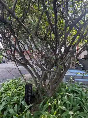 大行寺(東京都)