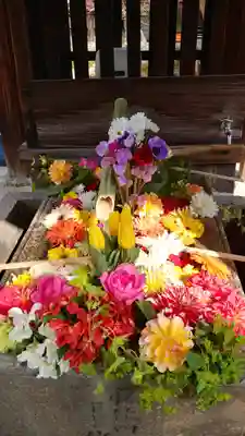 勝林寺の手水舎