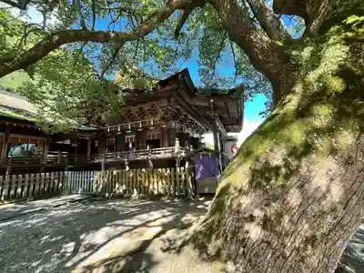 金刀比羅宮(香川県)