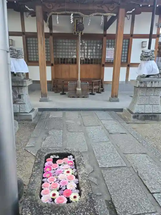 野見神社(大阪府)