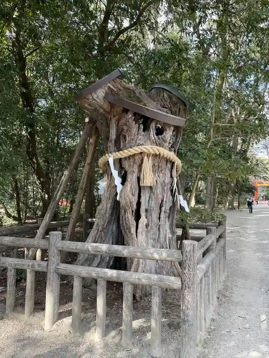 賀茂御祖神社(下鴨神社)の自然