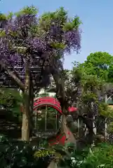 亀戸天神社の庭園