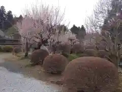 医王寺の庭園