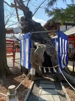 生島足島神社の{uncategorized: "未分類", other: "その他", undefined: "問題あり", building: "その他建物", grave: "お墓", sacred_gate: "鳥居", guardian: "狛犬", statue: "像", buddha: "仏像", history: "歴史", nature: "自然", garden: "庭園", animal: "動物", pagoda: "塔", temizu: "手水舎", mountain_gate: "山門・神門", sanctuary: "本殿・本堂", subordinate: "末社・摂社", art: "芸術", scenery: "景色", jizo: "地蔵", ema: "絵馬", goshuin: "御朱印", omikuji: "おみくじ", items: "授与品その他", amulet: "お守り", goshuincho: "御朱印帳", eats: "食事", festival: "お祭り", votive_dance: "神楽", shichigosan: "七五三参", wedding: "結婚式", experience: "体験その他", initially: "初詣", around: "周辺", anti_infection: "感染症対策"}