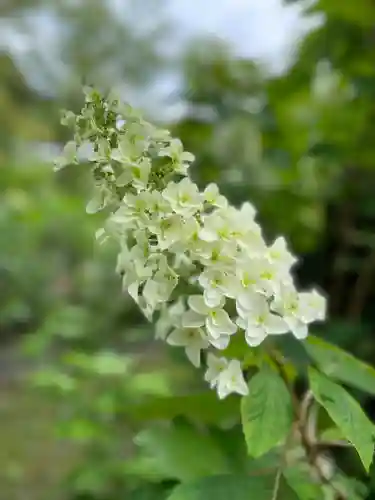 久安寺(大阪府)