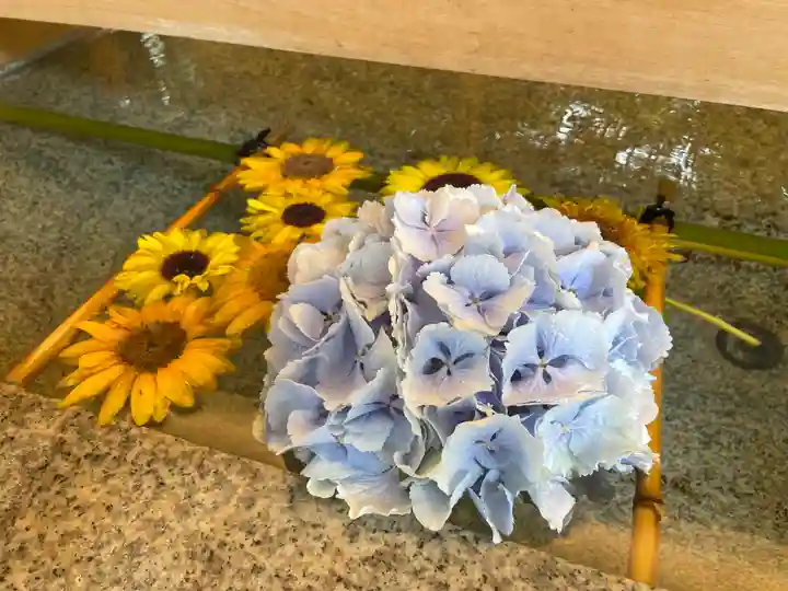 乃木神社の手水舎