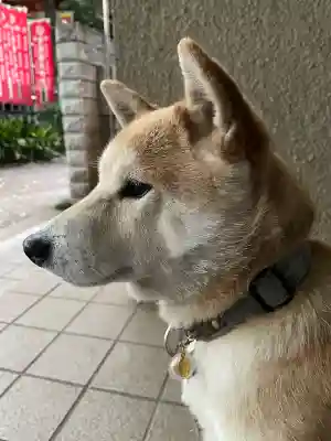笠䅣稲荷神社(神奈川県)