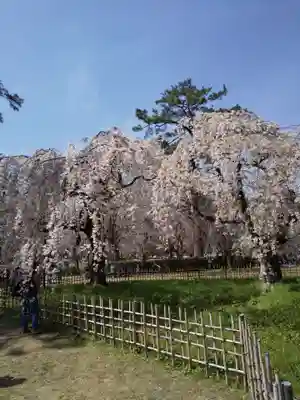 水火天満宮(京都府)