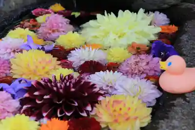 大鏑神社の手水舎