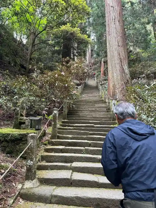 室生寺の{uncategorized: "未分類", other: "その他", undefined: "問題あり", building: "その他建物", grave: "お墓", sacred_gate: "鳥居", guardian: "狛犬", statue: "像", buddha: "仏像", history: "歴史", nature: "自然", garden: "庭園", animal: "動物", pagoda: "塔", temizu: "手水舎", mountain_gate: "山門・神門", sanctuary: "本殿・本堂", subordinate: "末社・摂社", art: "芸術", scenery: "景色", jizo: "地蔵", ema: "絵馬", goshuin: "御朱印", omikuji: "おみくじ", items: "授与品その他", amulet: "お守り", goshuincho: "御朱印帳", eats: "食事", festival: "お祭り", votive_dance: "神楽", shichigosan: "七五三参", wedding: "結婚式", experience: "体験その他", initially: "初詣", around: "周辺", anti_infection: "感染症対策"}