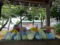 北広島市総鎮守 廣島神社の手水舎