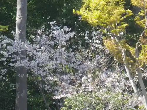 鶴岡八幡宮の自然
