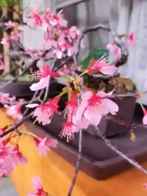 高円寺氷川神社(東京都)