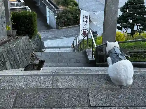 王子神社(徳島県)