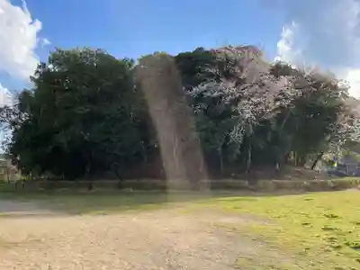 正恩寺(京都府)