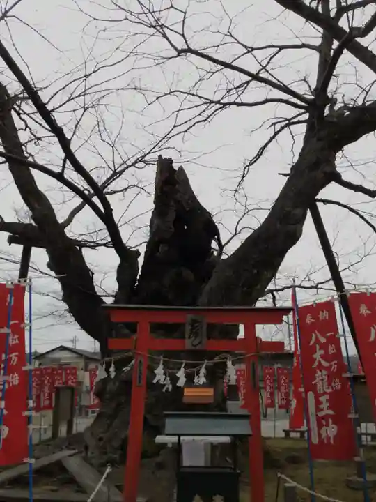 秩父今宮神社の自然