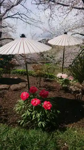 鶴岡八幡宮の{uncategorized: "未分類", other: "その他", undefined: "問題あり", building: "その他建物", grave: "お墓", sacred_gate: "鳥居", guardian: "狛犬", statue: "像", buddha: "仏像", history: "歴史", nature: "自然", garden: "庭園", animal: "動物", pagoda: "塔", temizu: "手水舎", mountain_gate: "山門・神門", sanctuary: "本殿・本堂", subordinate: "末社・摂社", art: "芸術", scenery: "景色", jizo: "地蔵", ema: "絵馬", goshuin: "御朱印", omikuji: "おみくじ", items: "授与品その他", amulet: "お守り", goshuincho: "御朱印帳", eats: "食事", festival: "お祭り", votive_dance: "神楽", shichigosan: "七五三参", wedding: "結婚式", experience: "体験その他", initially: "初詣", around: "周辺", anti_infection: "感染症対策"}