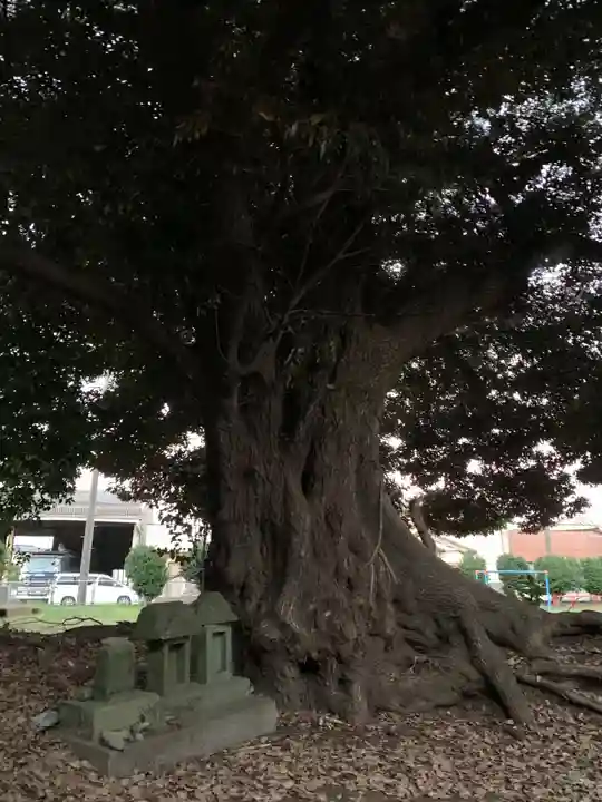 十二神社(千葉県)