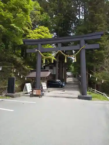 戸隠神社中社の鳥居