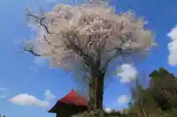 十一面観音堂の自然