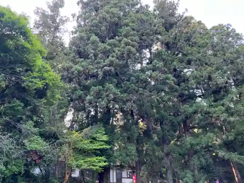 大宮温泉神社(栃木県)