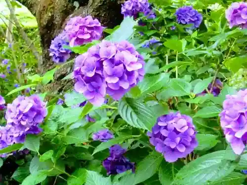 真野寺(千葉県)