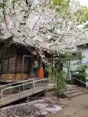 神明氷川神社の本殿