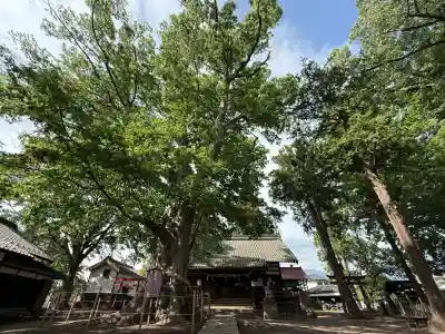 白鳥神社(長野県)
