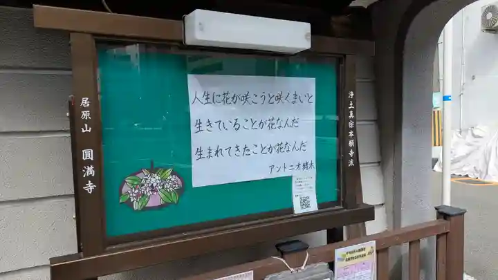 圓満寺(円満寺)(大阪府)