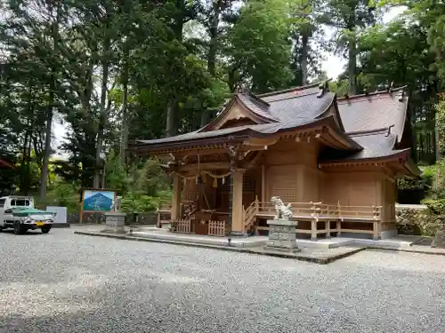 須山浅間神社の狛犬