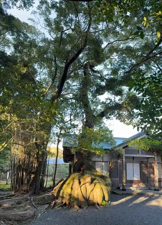 伊雜宮(皇大神宮別宮)(三重県)
