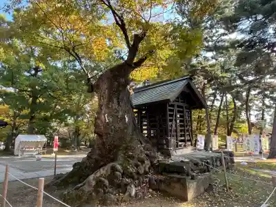 川中島古戦場八幡社(長野県)