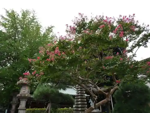 豊川稲荷東京別院の庭園