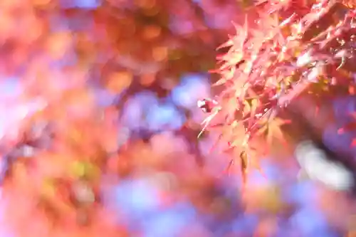 禅林寺（永観堂）(京都府)