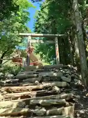 大山阿夫利神社本社(神奈川県)