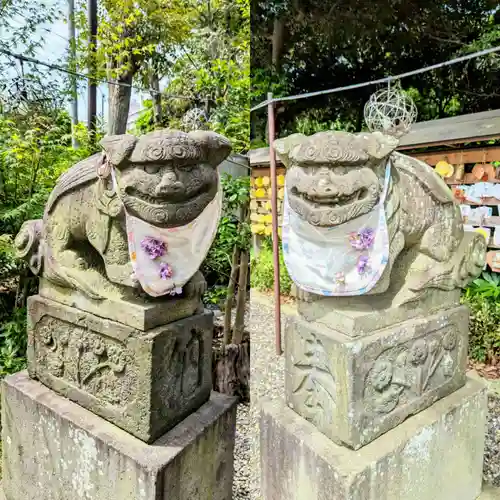 菊田神社の狛犬