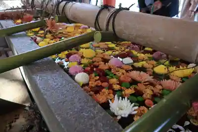 石清水八幡宮の手水舎