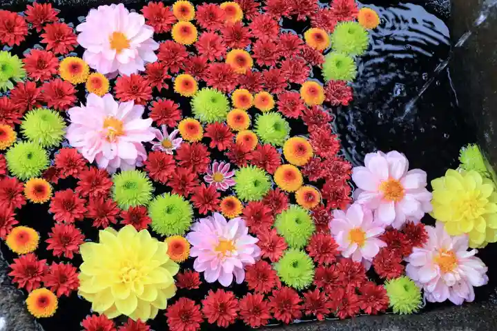 大鏑神社の手水舎