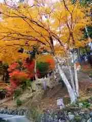 温泉寺(岐阜県)