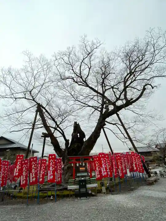 秩父今宮神社(埼玉県)