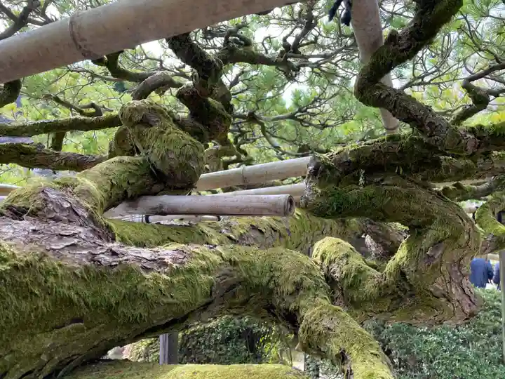 善峯寺(京都府)