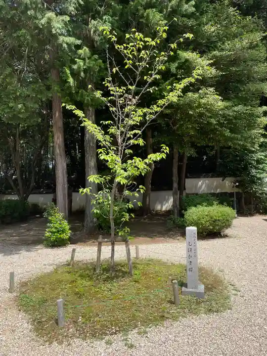 六所神社(愛知県)