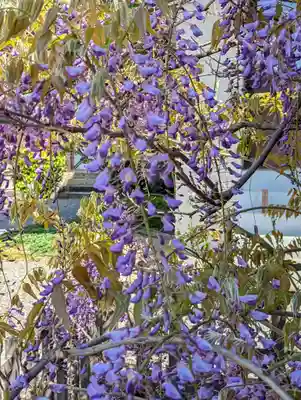 西院春日神社(京都府)