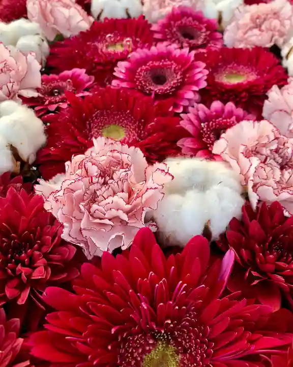 鹿島台神社の自然